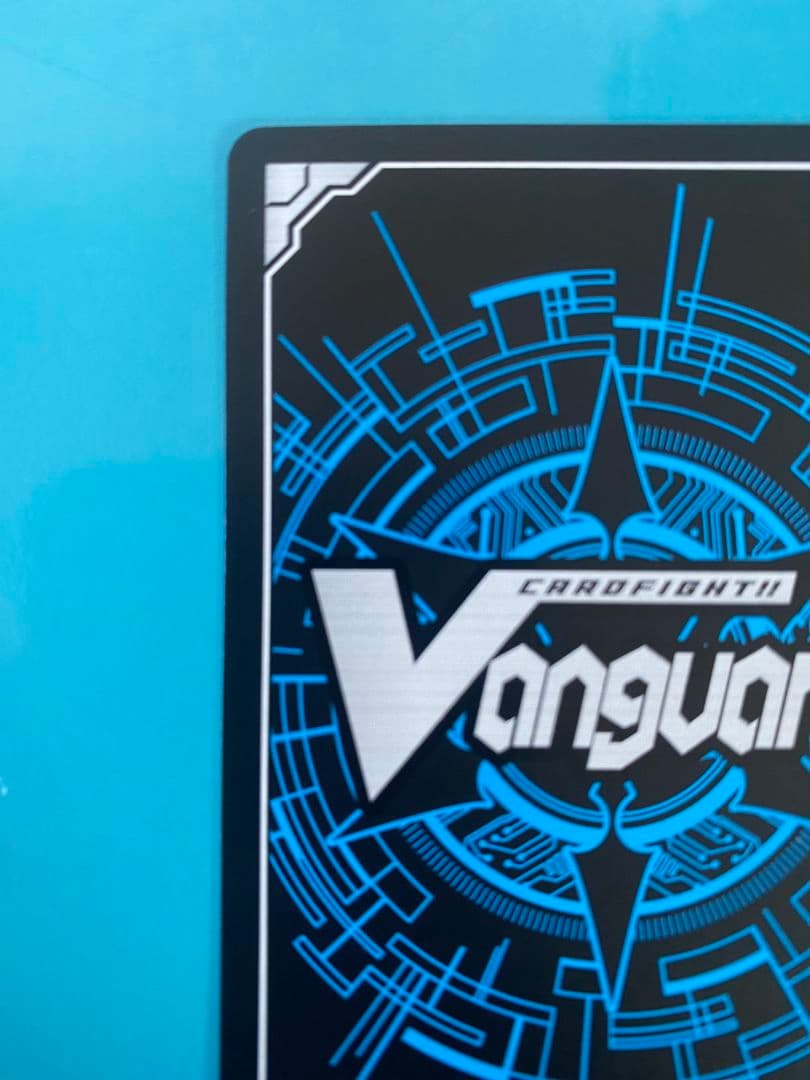 月の門番　ヴェイズルーグsec