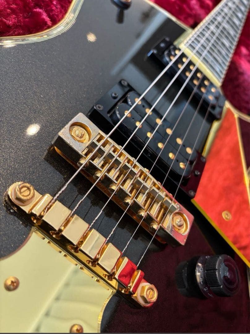 極美品とコンディションのIbanez PS-10LTD