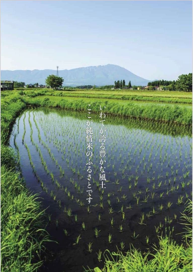 米　白米【岩手県産銀河のしずく20kg】 (5kg×4) 7年連続特A評価！