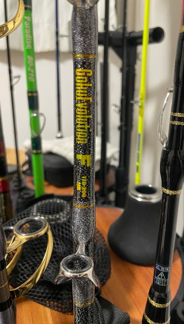 【新品未使用】ゴクスペ GokuEvolution F 170-200HB