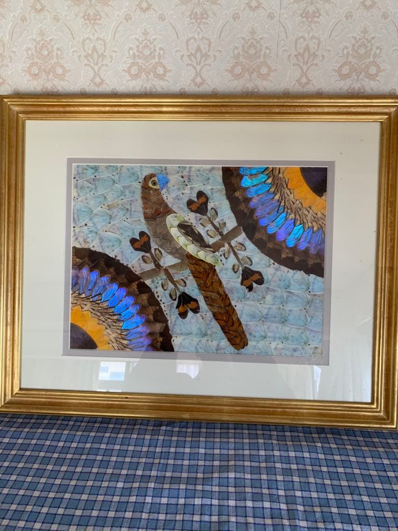 モルフォ蝶 羽絵 アート アンティーク インテリア 額装 羽細工 蝶標本 壁掛け