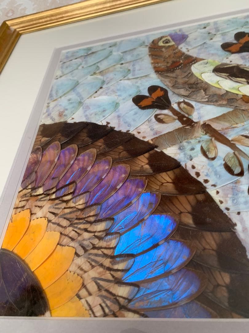 モルフォ蝶 羽絵 アート アンティーク インテリア 額装 羽細工 蝶標本 壁掛け