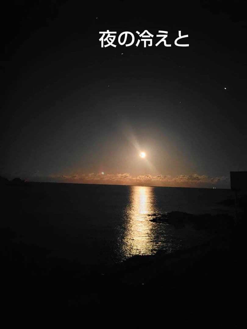 つきあかり10kg　岩手県産 令和６年産 減農薬 玄米 希少米