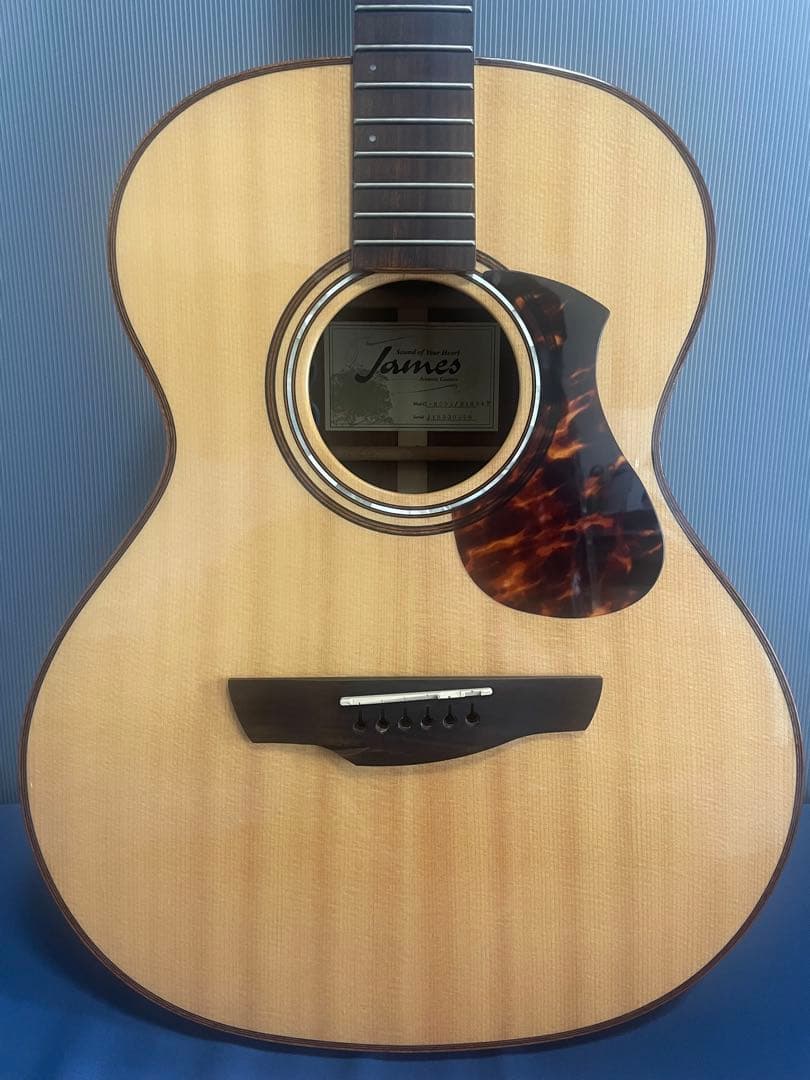 【値下げ】James J-800A アコースティックギター／上位モデルオール単板