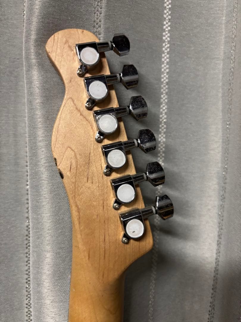 Bucchus universe series テレキャスター エレキギター