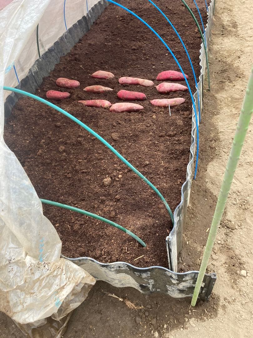 残り3個　訳あり　丸干し芋 生産農家だからできると〜てもお得‼️ な大箱売11kg