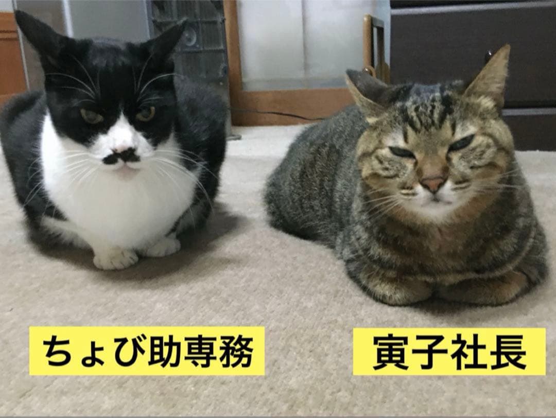 残り3個　訳あり　丸干し芋 生産農家だからできると〜てもお得‼️ な大箱売11kg