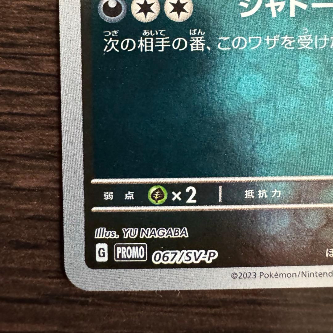 c*o様 ブラッキー　YU NAGABA