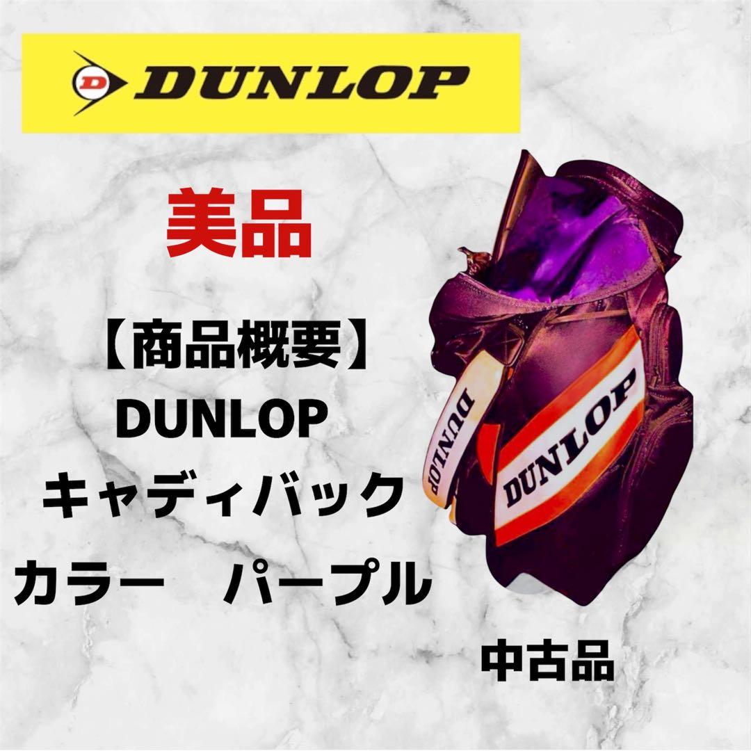 BRIDGESTONE キャディバッグ ゴルフバッグ クラブケース 送料込み