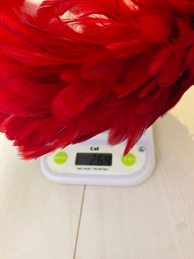 【トンコ】フラダンス　ウリウリ