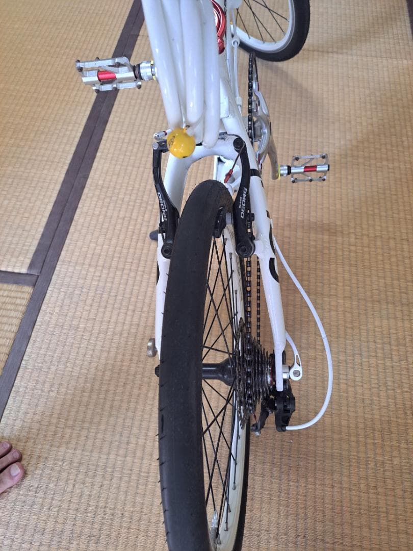 ダホン ルート10sフルカスタム　　　　　　　　DAHON ROUTE
