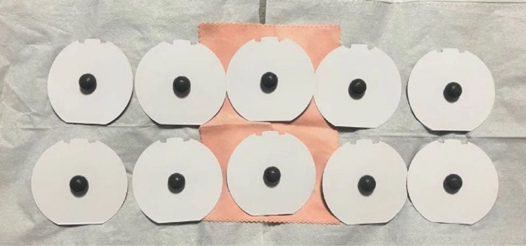 ポケパークカントー ピンバッジ 10個セット　ゲンガー　リザードン　カメックス