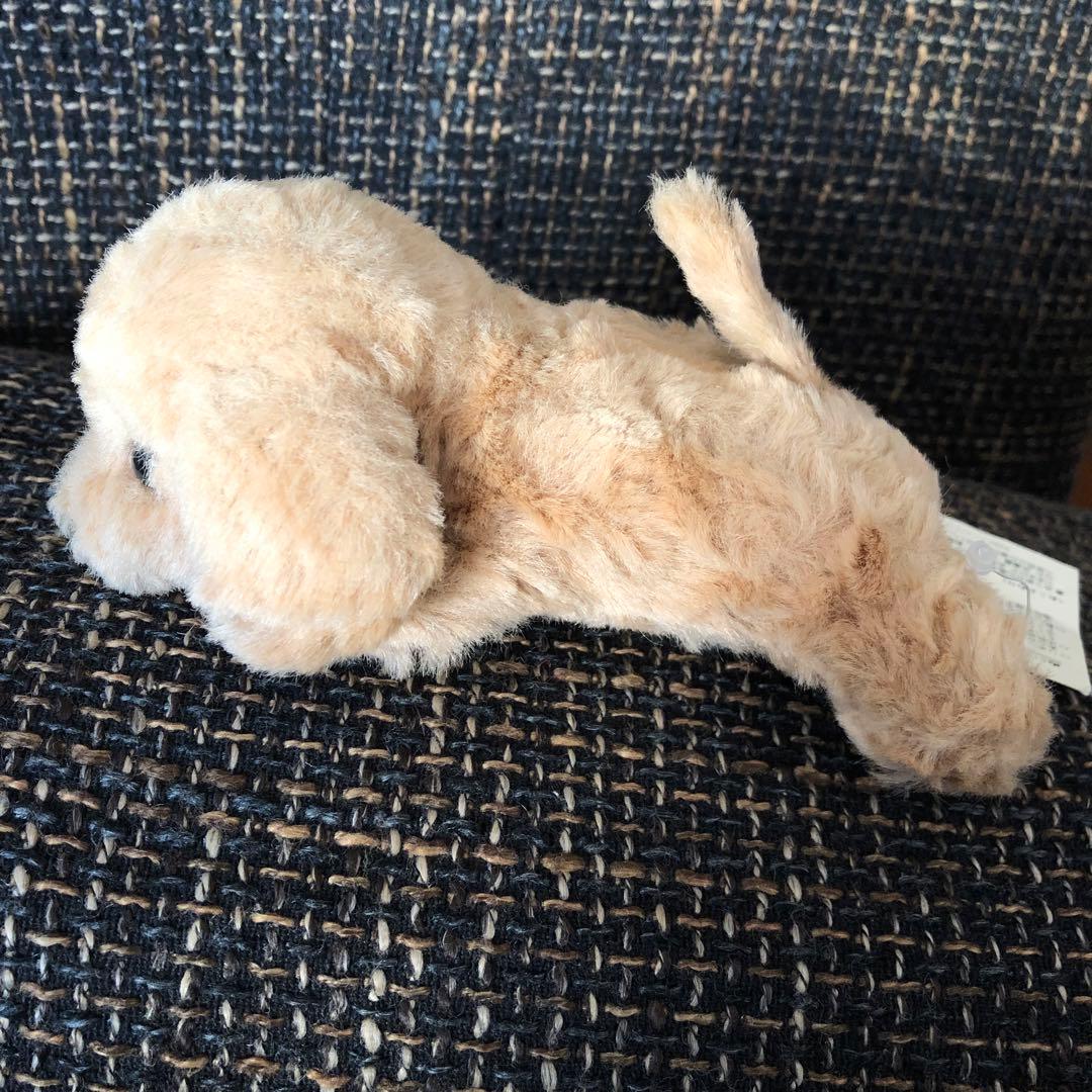 パプス　モンスイユ　ぬいぐるみ　子犬　いぬ　トイプードル　マスコット