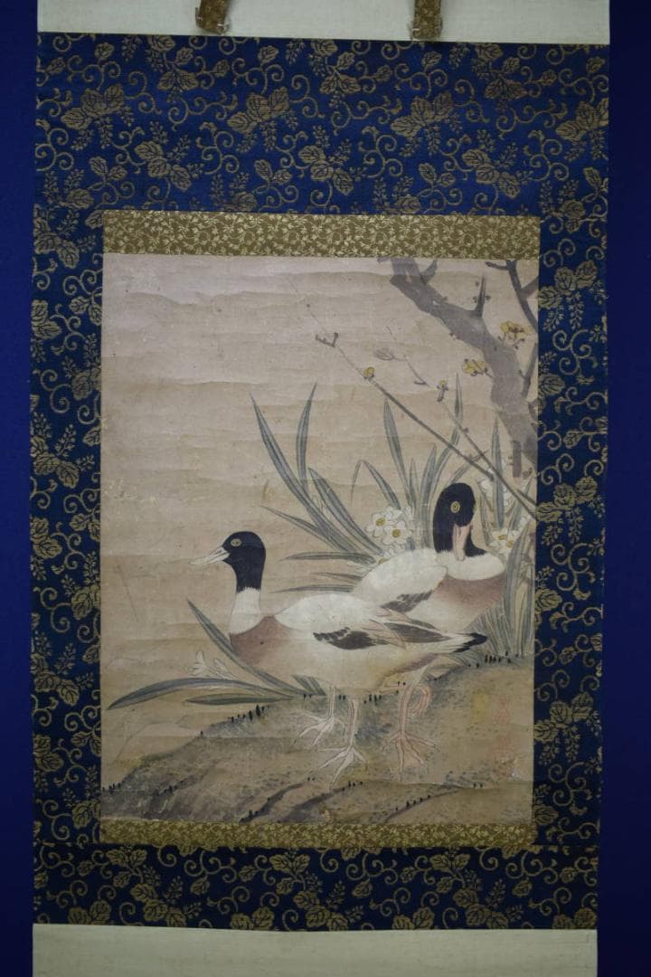 真作/狩野探幽/鴨の図/絹表装/布袋屋掛軸HH-508
