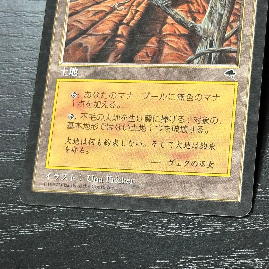 MTG 不毛の大地 日本語 初版 3枚