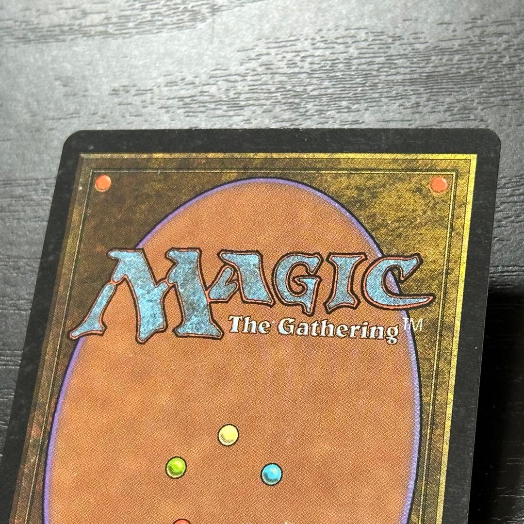 MTG 不毛の大地 日本語 初版 3枚