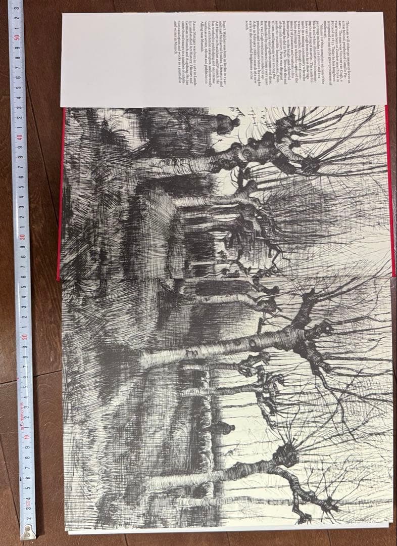 Van Gogh: The Complete Paintings 2巻セット