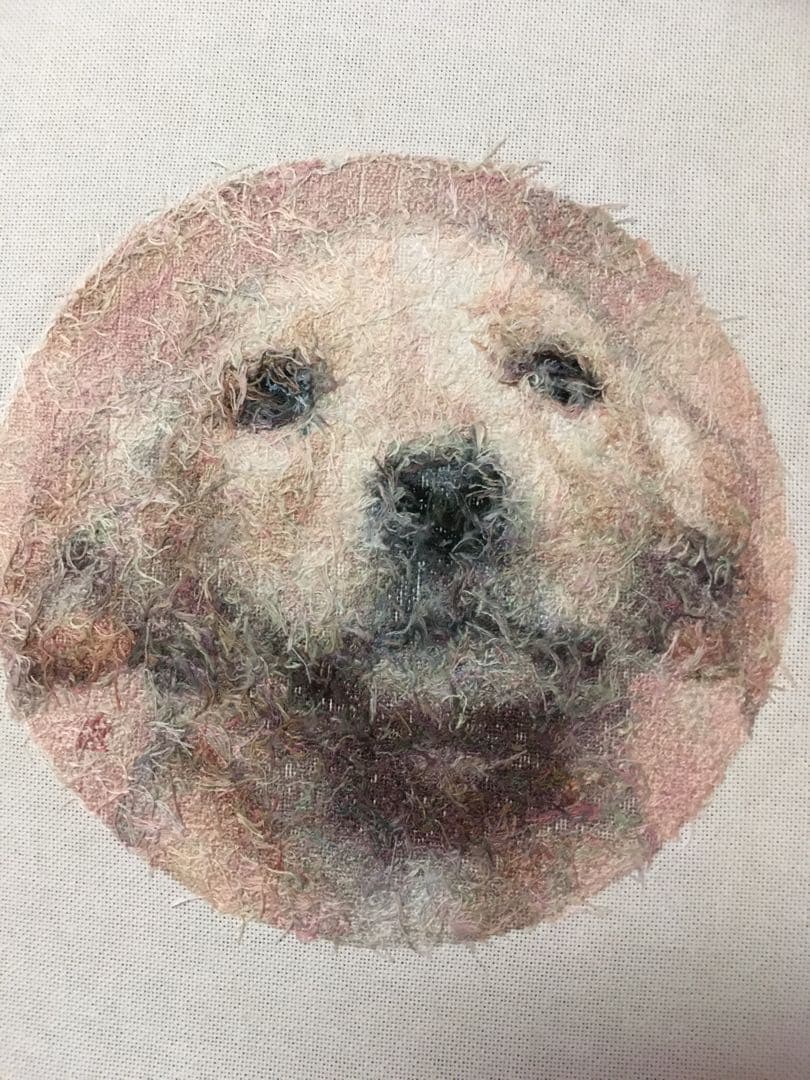 ラブラドールの仔犬　クロスステッチ刺繍完成品　(HAED社　25C) 額付き