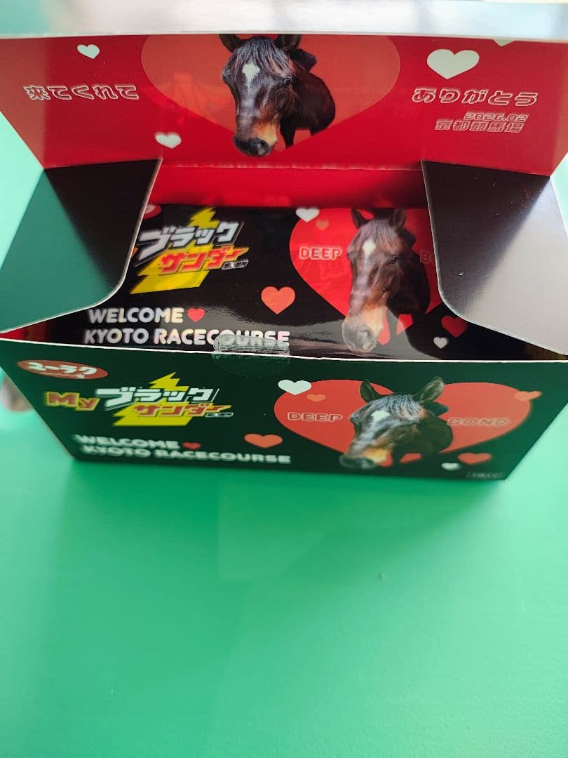 JRA 京都競馬場 Welcomeチャンス ディープボンドブラックサンダー