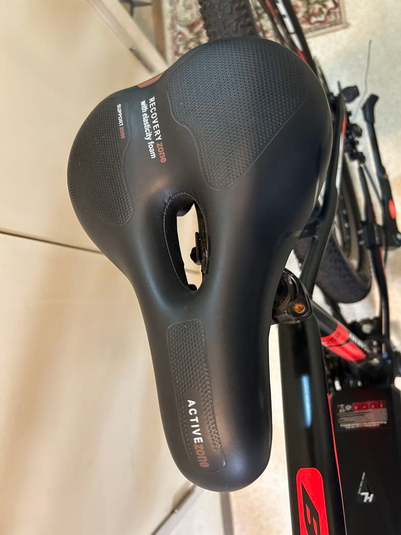 Branjay 電動アシスト自転車 スポーツタイプバッテリー￼10ah X 2