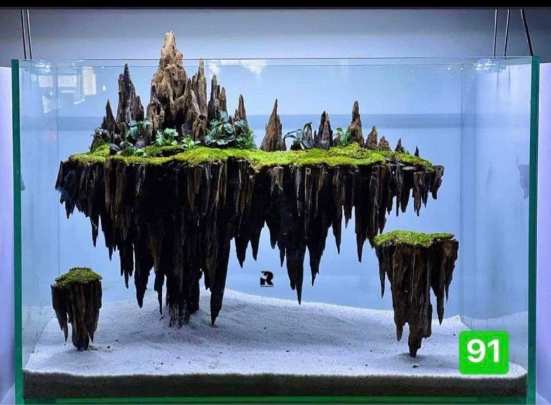 水槽用流木レイアウト 。水槽用流木アクアリウムレイアウト。水槽用流木 。盆栽流木