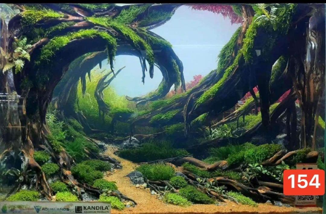 水槽用流木レイアウト 。水槽用流木アクアリウムレイアウト。水槽用流木 。盆栽流木