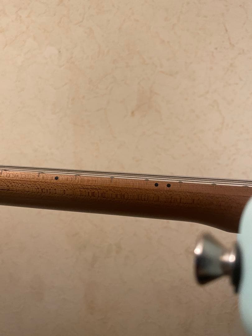 Bacchus バッカス　エレキギター　bst1