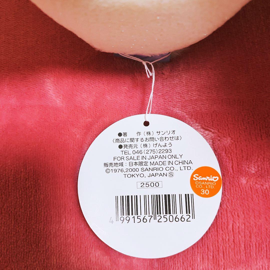 希少レア　ハローキティ　北海道　雪うさぎ　SM 2000年製 サンリオ　レトロ