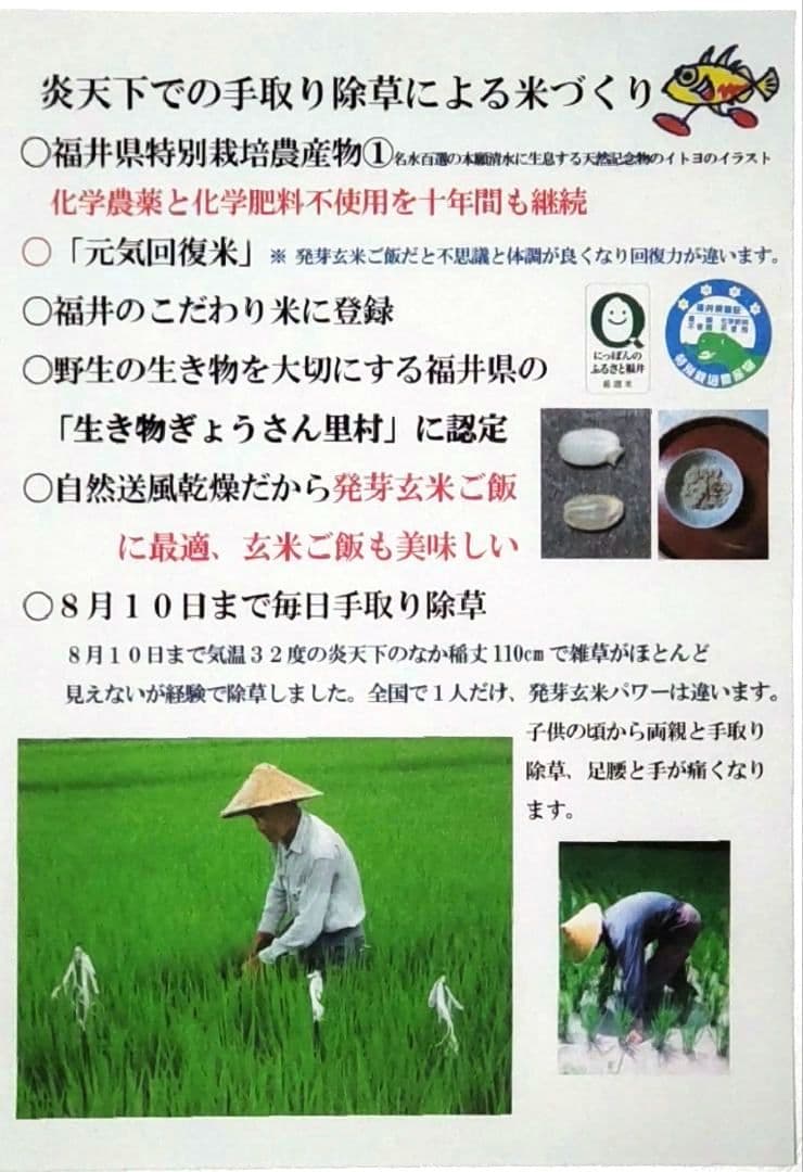 田に入らないと何もわからない 玄米10kg７年産コシヒカリ 特栽①化学農薬不使用