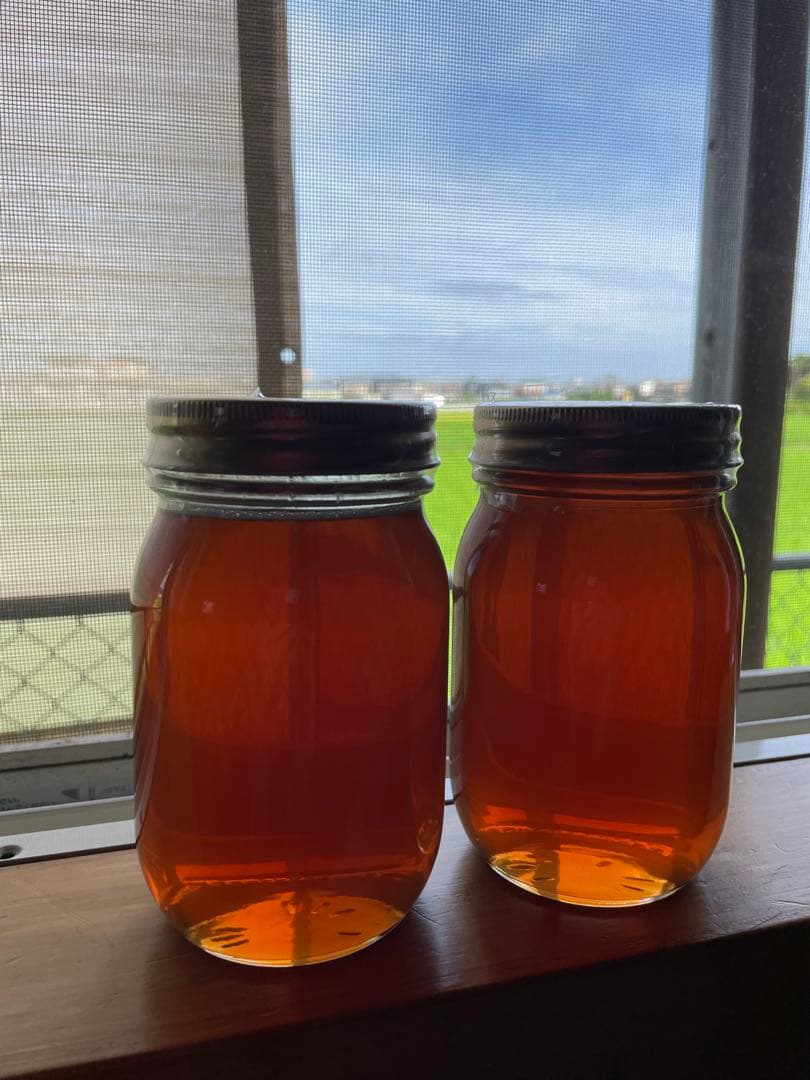 令和７年　100%天然絞りたて生はちみつ　620g✖️2 (ケンポナシ)