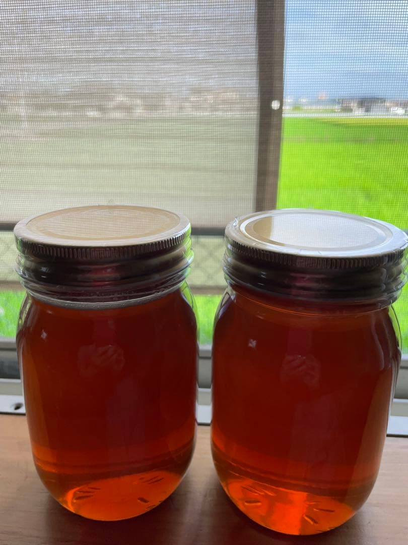 令和７年　100%天然絞りたて生はちみつ　620g✖️2 (ケンポナシ)