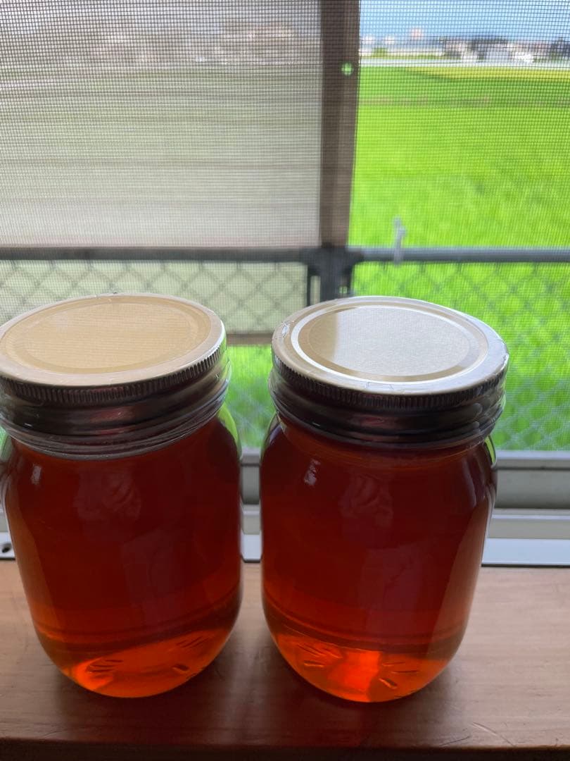 令和７年　100%天然絞りたて生はちみつ　620g✖️2 (ケンポナシ)