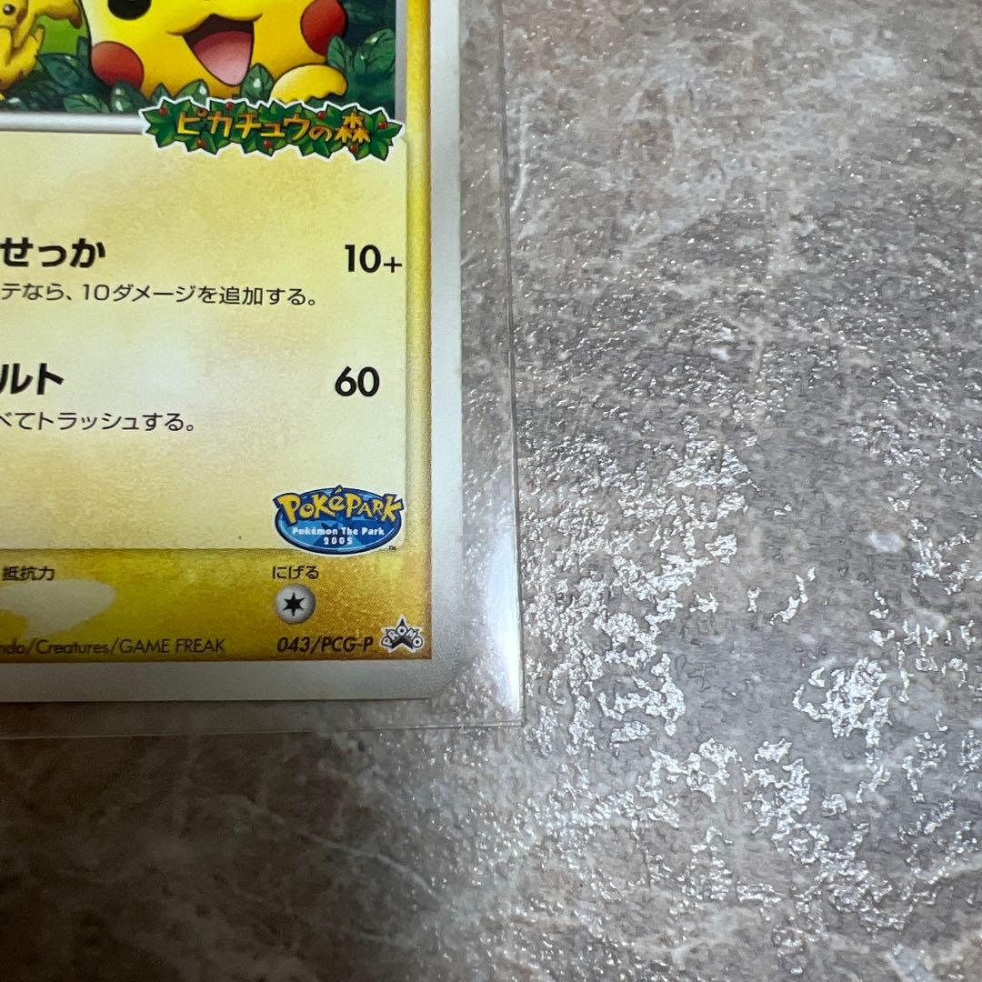 ポケパークのピカチュウ