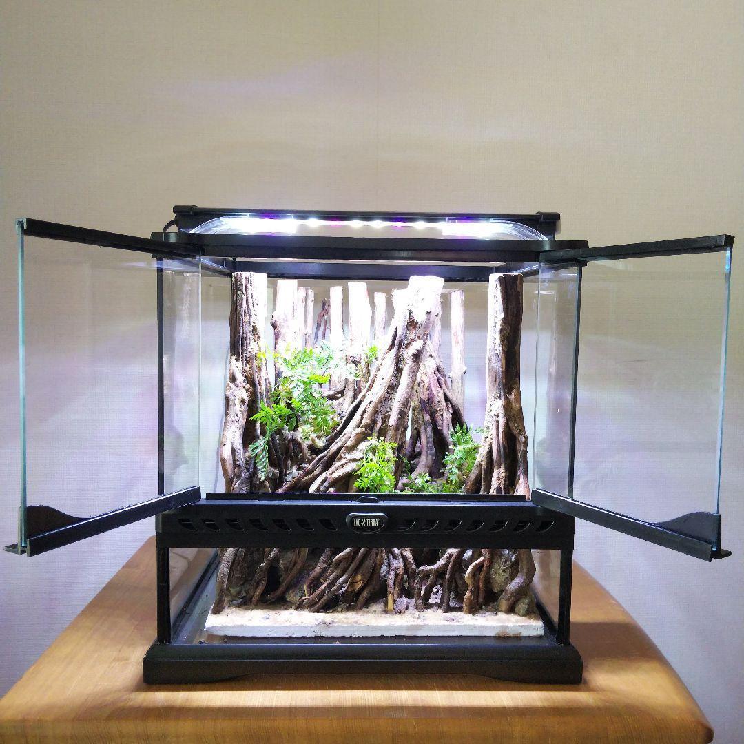 【受注生産】グラステラリウム3030　イモリウム　苔テラリウム　アクアテラリウム