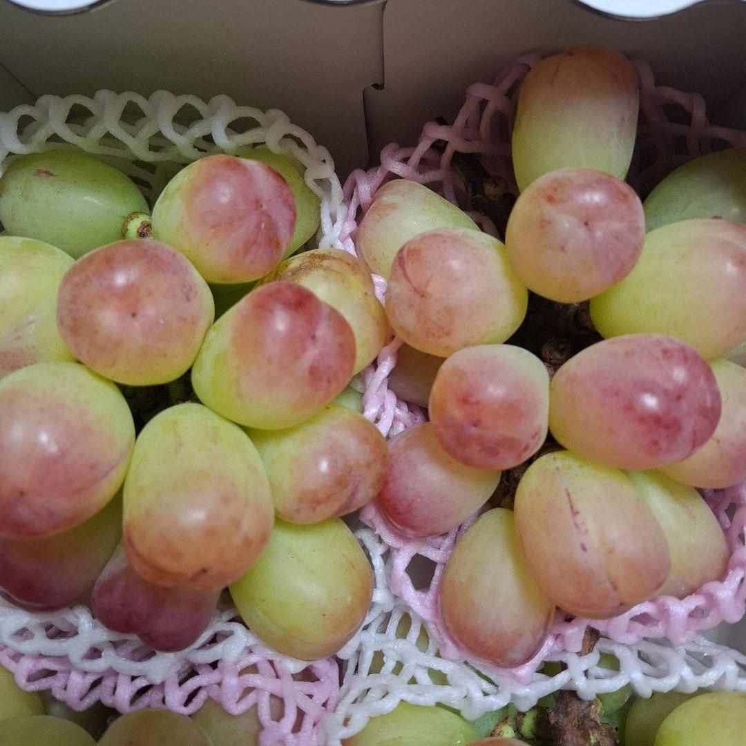 大房バイオレットキング四房