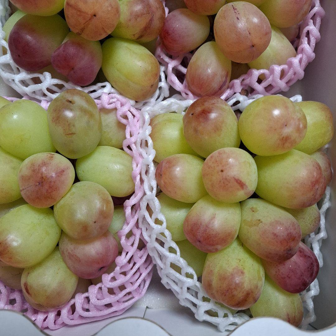 大房バイオレットキング四房