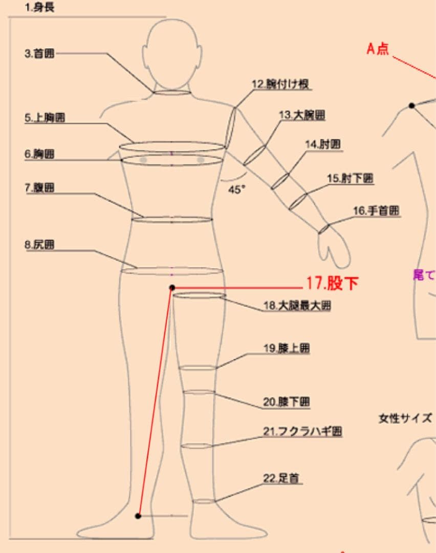 Delphi women's フルスーツ一回のみ使用　Mサイズ　3mm