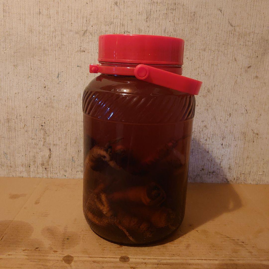 奈良県吉野山系吉野で採取りした天然物ツルニンジン酒5Ｌ入り