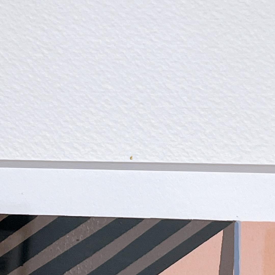 GiselaRomeroDedeCasulallide シルクスクリーン特大絵画