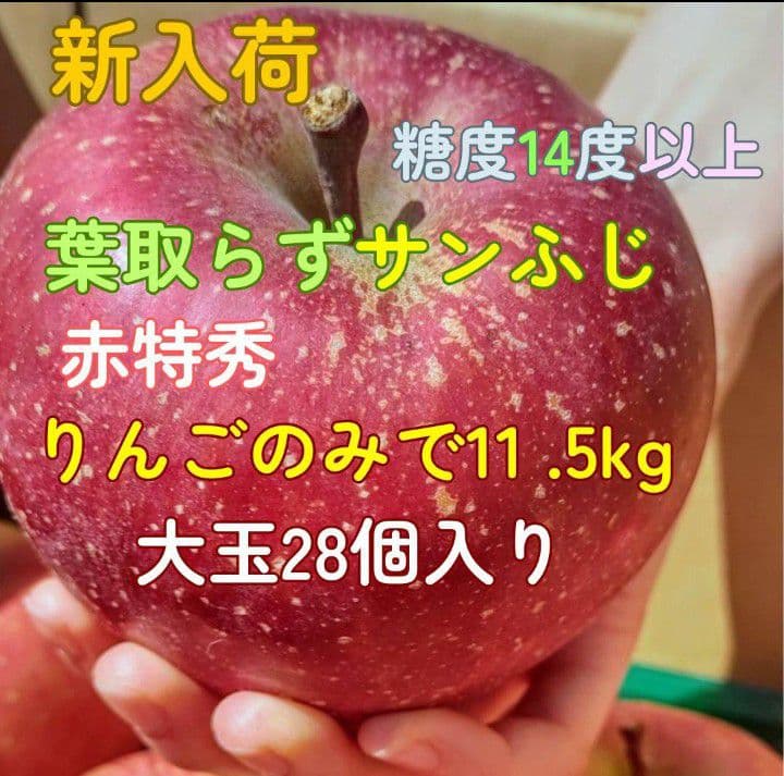 青森　葉取らずサンふじ　10キロ箱　赤特秀