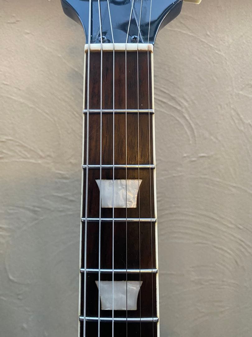 Bacchus BSGシリーズ(SGカスタムタイプ)