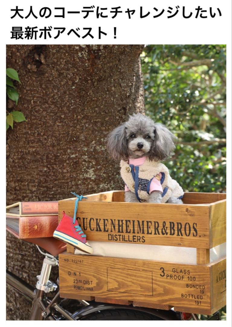 アトリエGG フィールド ボア ベスト 美品！ 19ハーフ