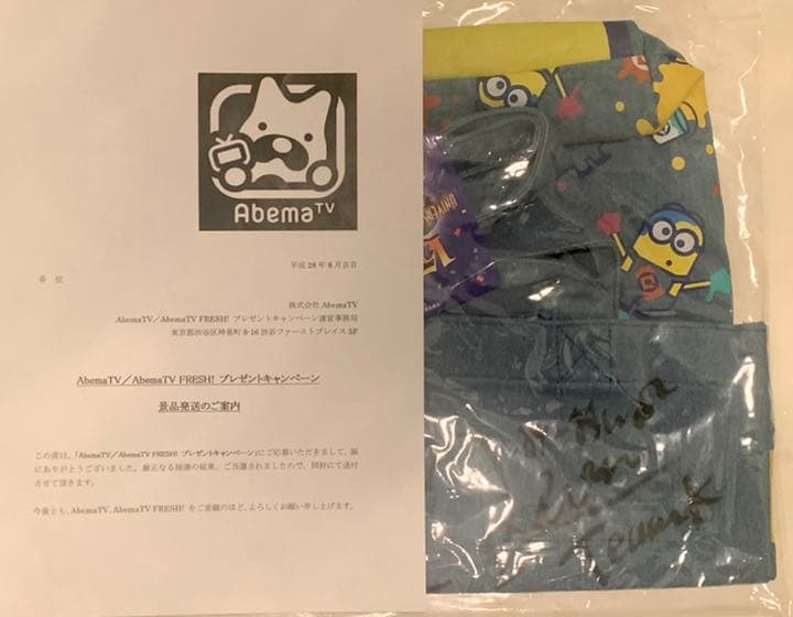 AKB48 向井地美音 直筆サイン入り バッグ ミニオン みーおん