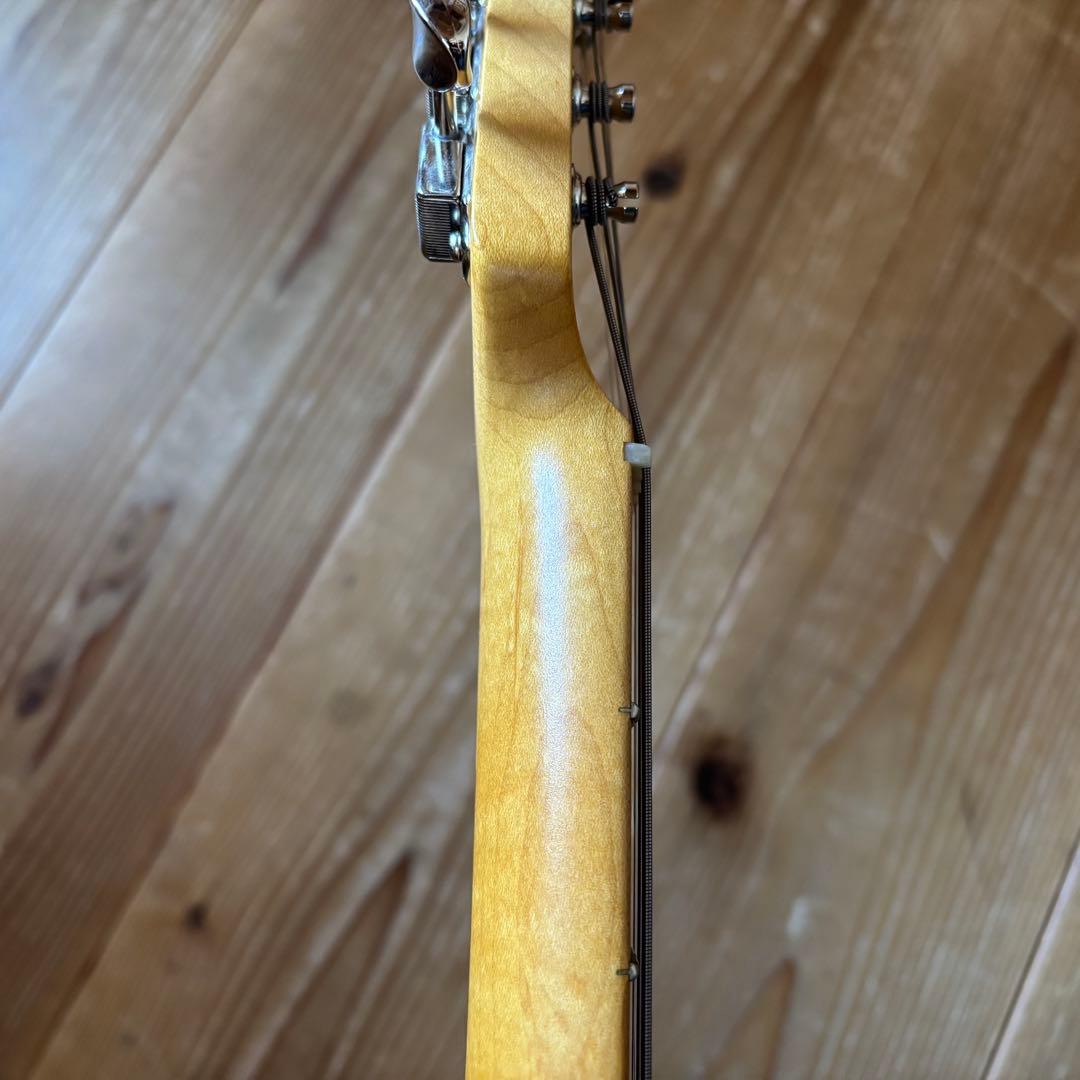 極太ネック Vanzandt TLV-R1 BSB