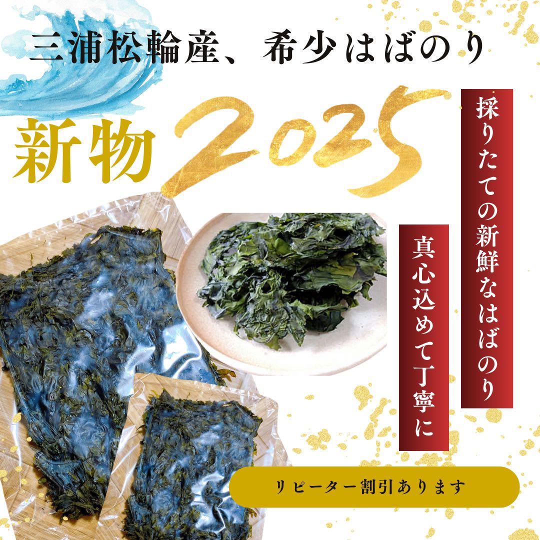 専用出品《2025年新物ハバノリ》10枚入り