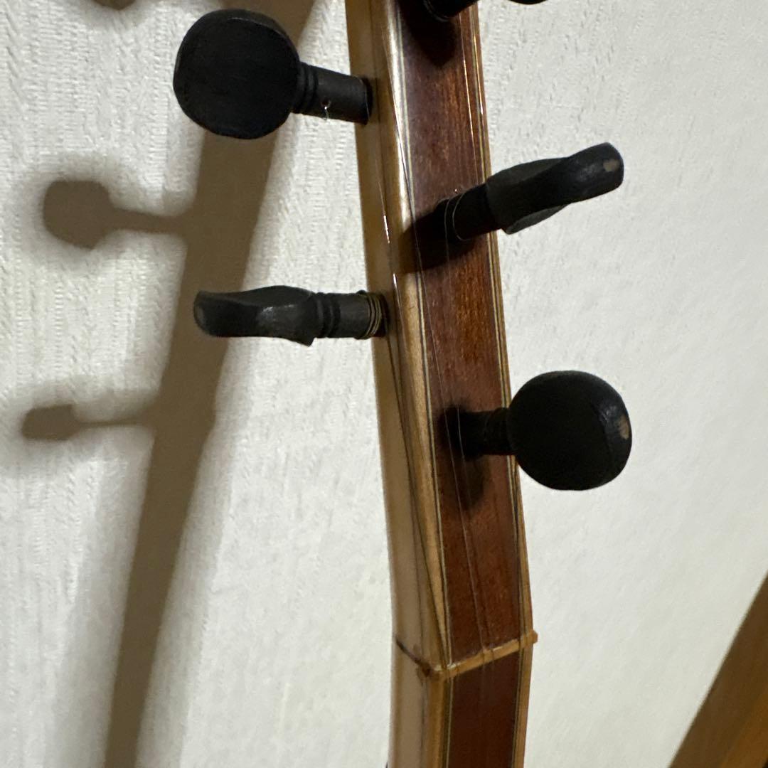 サズ　バーラマ エレキサズ　トルコ　民族楽器　弦楽器　リュート ギター