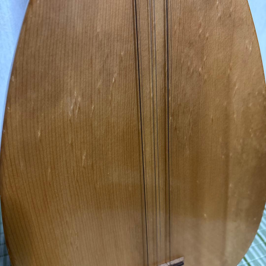 サズ　バーラマ エレキサズ　トルコ　民族楽器　弦楽器　リュート ギター