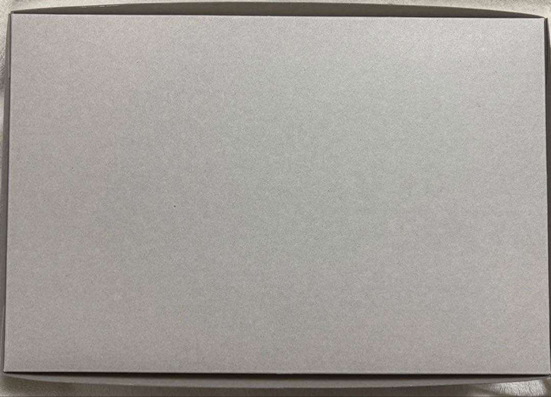 ゾイド リアライズモデル キャノリーモルガ&ヘルキャット守備隊仕様 新品 タカラ