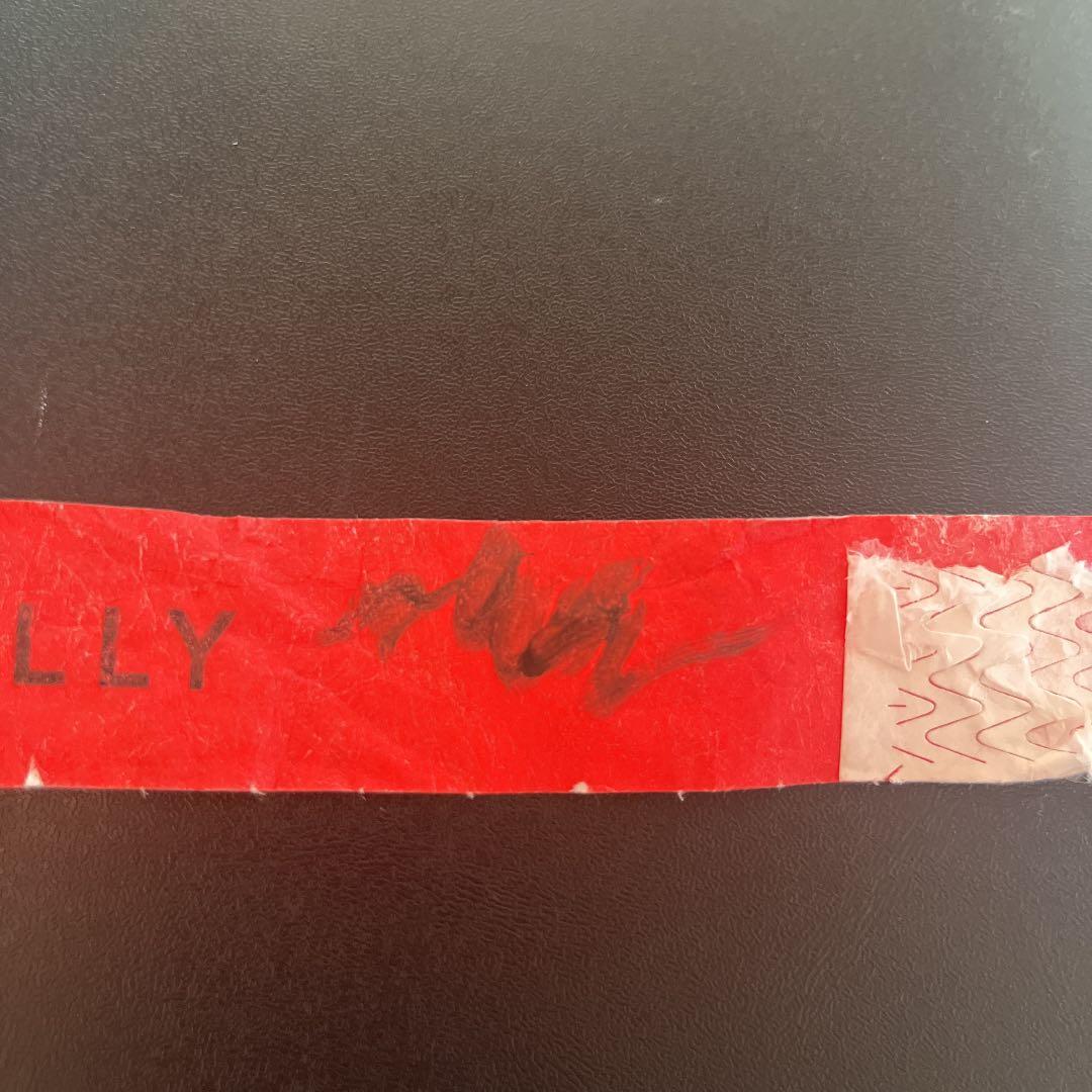 ヅンヅン 直筆サイン入り ピカデリー カラーバンド