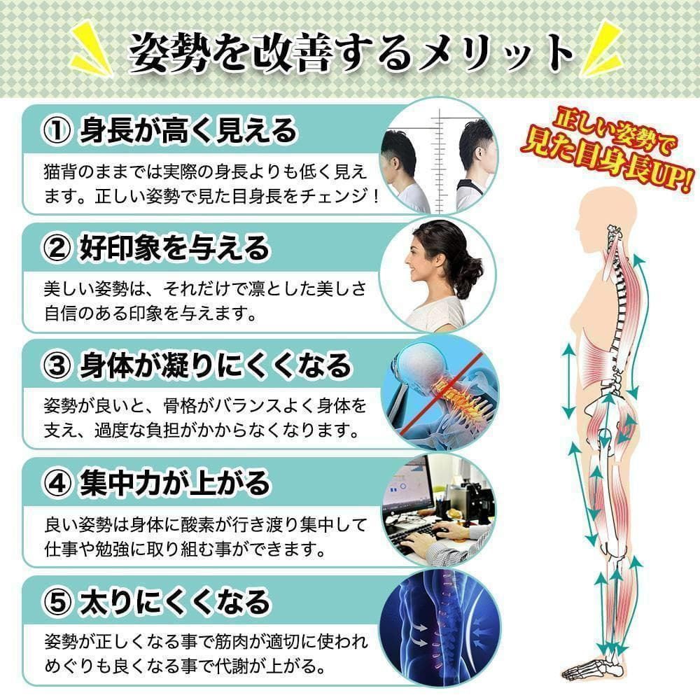 猫背矯正ベルト 姿勢サポーター 背筋矯正 男女兼用 姿勢改善 肩こり L